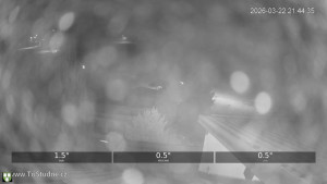 Obec Tři Studně - Parkoviště - 22.3.2026 v 21:45 Obec Tři Studně - Parkoviště - 22.3.2026 v 21:45