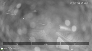 Obec Tři Studně - Parkoviště - 22.3.2026 v 22:00 Obec Tři Studně - Parkoviště - 22.3.2026 v 22:00