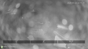 Obec Tři Studně - Parkoviště - 22.3.2026 v 22:45 Obec Tři Studně - Parkoviště - 22.3.2026 v 22:45