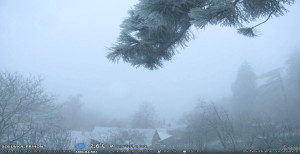 Obec Sloup - Sloup - 17.12.2025 v 08:00 Obec Sloup - Sloup - 17.12.2025 v 08:00