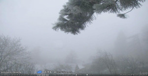 Obec Sloup - Sloup - 17.12.2025 v 09:00 Obec Sloup - Sloup - 17.12.2025 v 09:00