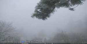 Obec Sloup - Sloup - 17.12.2025 v 09:30 Obec Sloup - Sloup - 17.12.2025 v 09:30