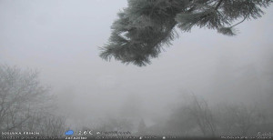 Obec Sloup - Sloup - 17.12.2025 v 11:30 Obec Sloup - Sloup - 17.12.2025 v 11:30