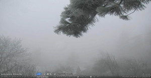 Obec Sloup - Sloup - 17.12.2025 v 12:30 Obec Sloup - Sloup - 17.12.2025 v 12:30