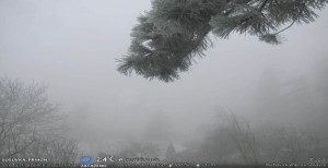 Obec Sloup - Sloup - 17.12.2025 v 14:00 Obec Sloup - Sloup - 17.12.2025 v 14:00