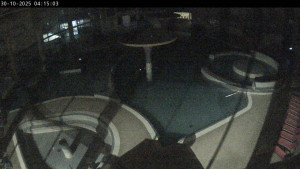 Termály Losiny - Vnitřní bazény - 30.10.2025 v 04:15 Termály Losiny - Vnitřní bazény - 30.10.2025 v 04:15