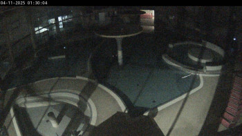 Snímek    4.11.2025 v 01:30