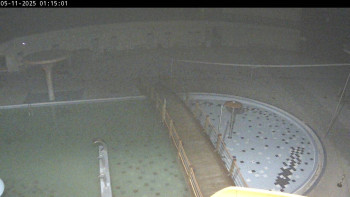 Snímek 5.11.2025 v 01:15