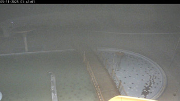 Snímek 5.11.2025 v 01:45