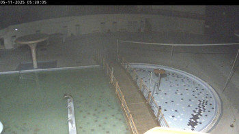 Snímek 5.11.2025 v 05:30