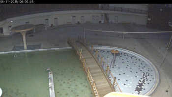 Snímek 6.11.2025 v 06:00