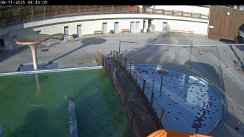 Snímek 6.11.2025 v 08:45