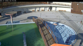 Snímek 6.11.2025 v 10:15