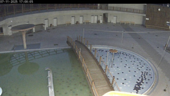 Snímek 7.11.2025 v 17:00