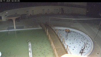 Snímek 8.11.2025 v 04:00