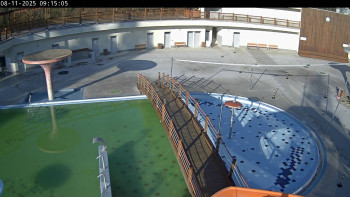 Snímek 8.11.2025 v 09:15