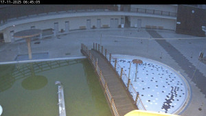 Termály Losiny - Venkovní bazény - 17.11.2025 v 06:45 Termály Losiny - Venkovní bazény - 17.11.2025 v 06:45