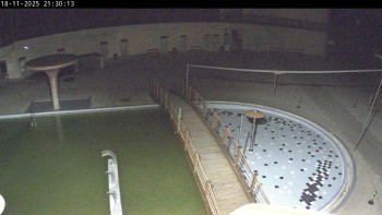 Snímek 18.11.2025 v 21:30