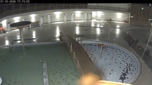 Thermal Baths Losiny - Outdoor pools - 31.10.2026 v 17:15 Thermal Baths Losiny - Outdoor pools - 31.10.2026 v 17:15