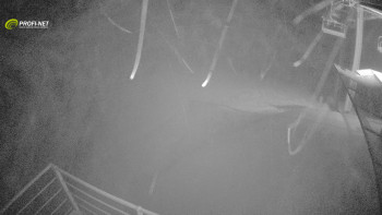 Snímek    28.10.2025 v 01:01