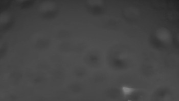 Snímek    25.10.2025 v 20:00