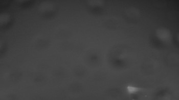 Snímek    25.10.2025 v 20:30