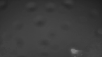 Snímek    26.10.2025 v 03:30