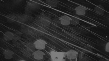 Snímek    26.10.2025 v 20:00