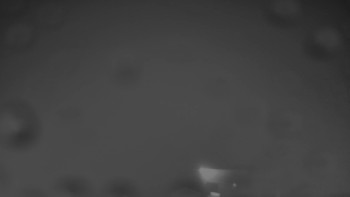 Snímek    27.10.2025 v 20:00