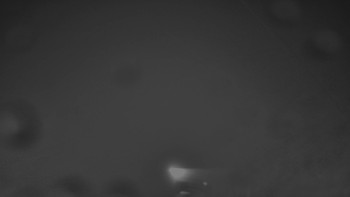 Snímek    27.10.2025 v 20:30