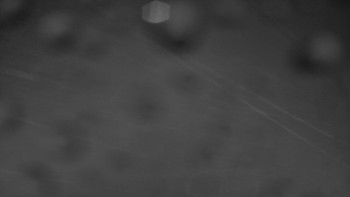 Snímek    28.10.2025 v 19:00