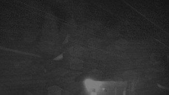 Snímek    29.10.2025 v 05:00