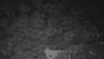 Snímek    29.10.2025 v 05:30