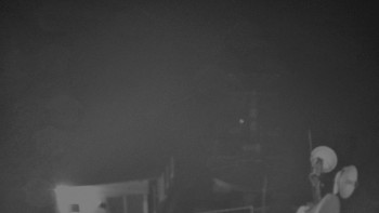 Snímek    3.11.2025 v 02:30