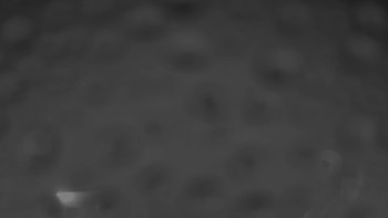 Snímek    3.11.2025 v 03:00