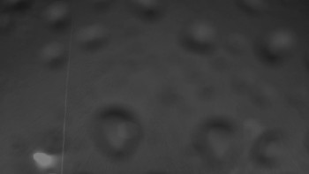 Snímek    3.11.2025 v 05:00