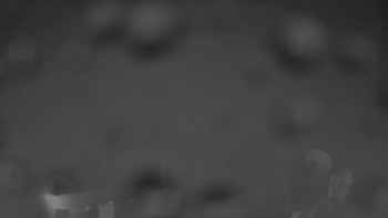 Snímek    3.11.2025 v 17:30