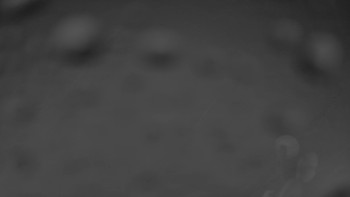 Snímek    3.11.2025 v 18:30