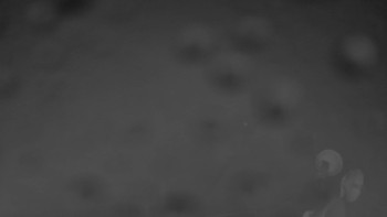 Snímek    3.11.2025 v 19:00