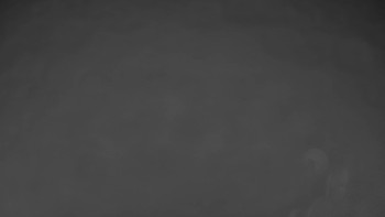 Snímek 9.11.2025 v 17:30