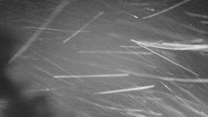 Ski areál SEVERKA v Dolní Lomné - Pohled na bazén - 15.2.2026 v 03:00 Ski areál SEVERKA v Dolní Lomné - Pohled na bazén - 15.2.2026 v 03:00