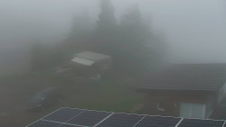 Pohled na bazén