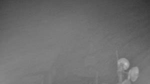 Ski areál SEVERKA v Dolní Lomné - Chata Severka - Dolní Lomná - 30.1.2026 v 02:30 Ski areál SEVERKA v Dolní Lomné - Chata Severka - Dolní Lomná - 30.1.2026 v 02:30