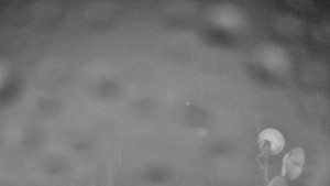 Ski areál SEVERKA v Dolní Lomné - Chata Severka - Dolní Lomná - 13.2.2026 v 01:00 Ski areál SEVERKA v Dolní Lomné - Chata Severka - Dolní Lomná - 13.2.2026 v 01:00