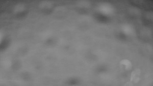 Ski areál SEVERKA v Dolní Lomné - Chata Severka - Dolní Lomná - 13.2.2026 v 02:00 Ski areál SEVERKA v Dolní Lomné - Chata Severka - Dolní Lomná - 13.2.2026 v 02:00