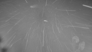 Ski areál SEVERKA v Dolní Lomné - Chata Severka - Dolní Lomná - 14.2.2026 v 20:00 Ski areál SEVERKA v Dolní Lomné - Chata Severka - Dolní Lomná - 14.2.2026 v 20:00