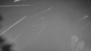 Ski areál SEVERKA v Dolní Lomné - Chata Severka - Dolní Lomná - 14.2.2026 v 23:00 Ski areál SEVERKA v Dolní Lomné - Chata Severka - Dolní Lomná - 14.2.2026 v 23:00