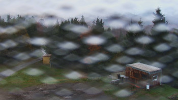 Snímek    29.10.2025 v 07:00