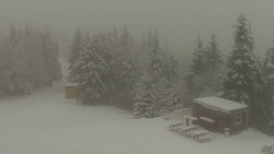 Chata Severka - Dolní Lomná