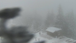 Chata Severka - Dolní Lomná